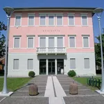 Venetò Shop Online